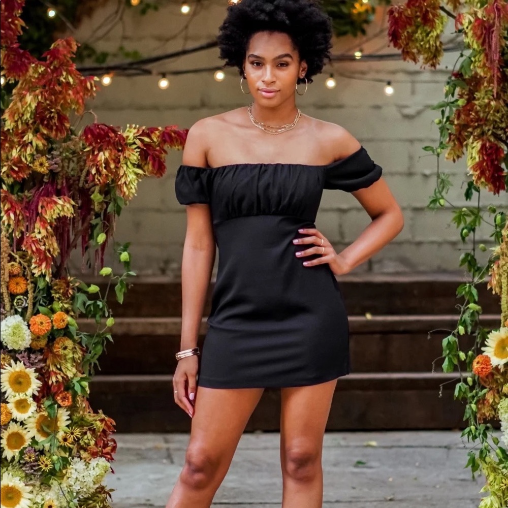 Abercrombie Puff Sleeve Dress